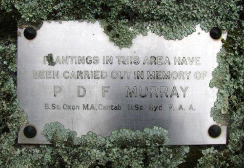 Patrick D. Murray : 25-January-2011