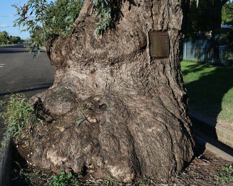 02-April-2021 (John Huth)