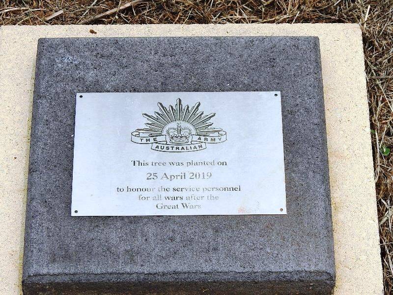 16-November-2021 16-November-2021