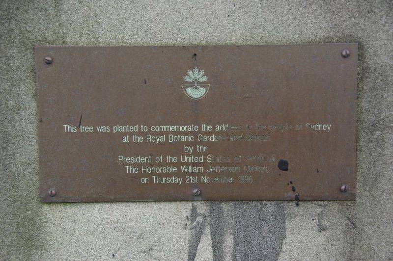 Plaque Inscription: 08-November-2015