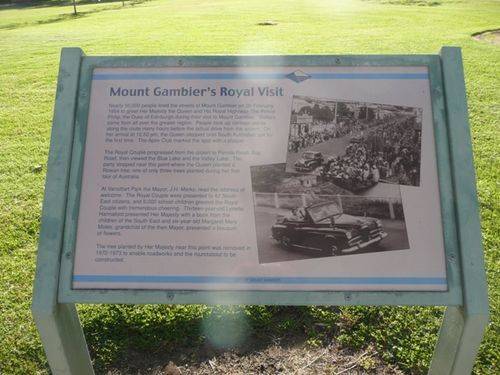 Queen Elizabeth Park : 02-December-2012