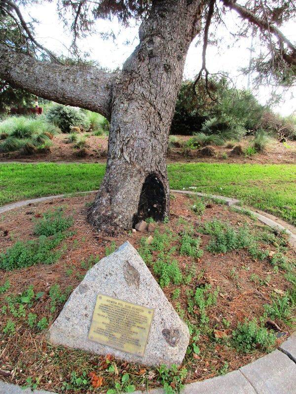 03-May-2017 03-May-2017