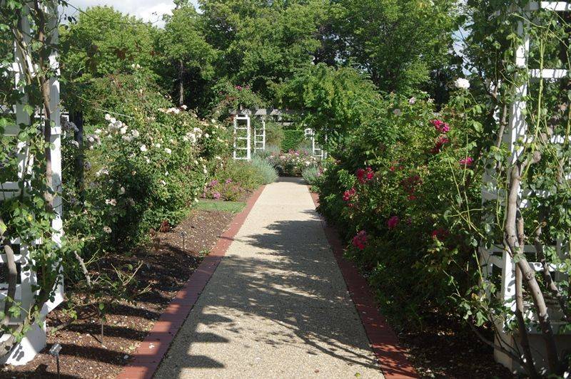 28-January-2015 28-January-2015