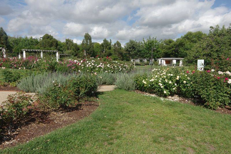 28-January-2015 28-January-2015