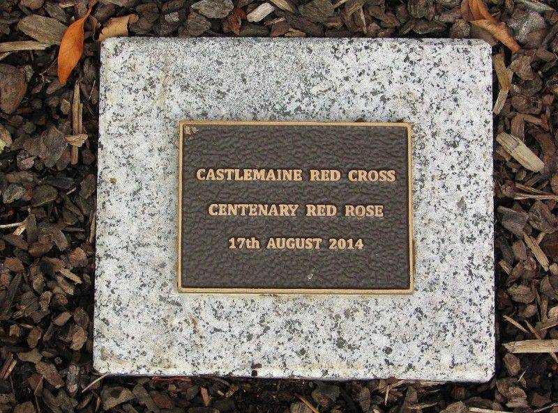 Centenary Rose Plaque : 23-April-2015