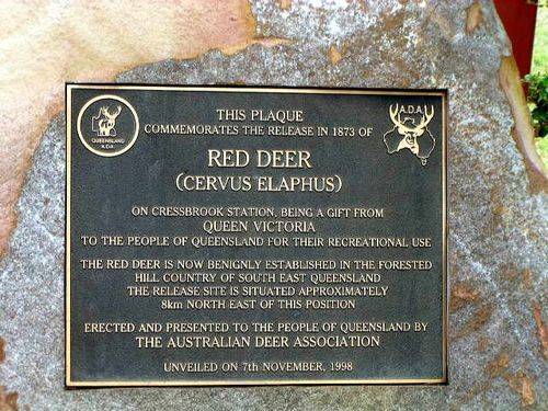 Red Deer Plaque