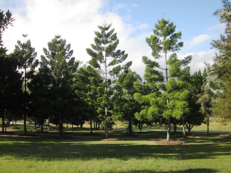 11-June-2015 11-June-2015