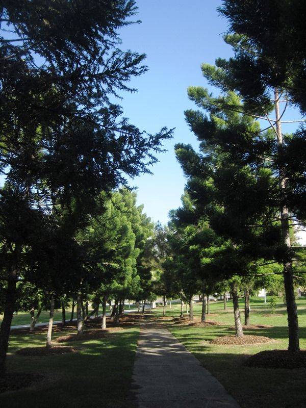 11-June-2015 11-June-2015