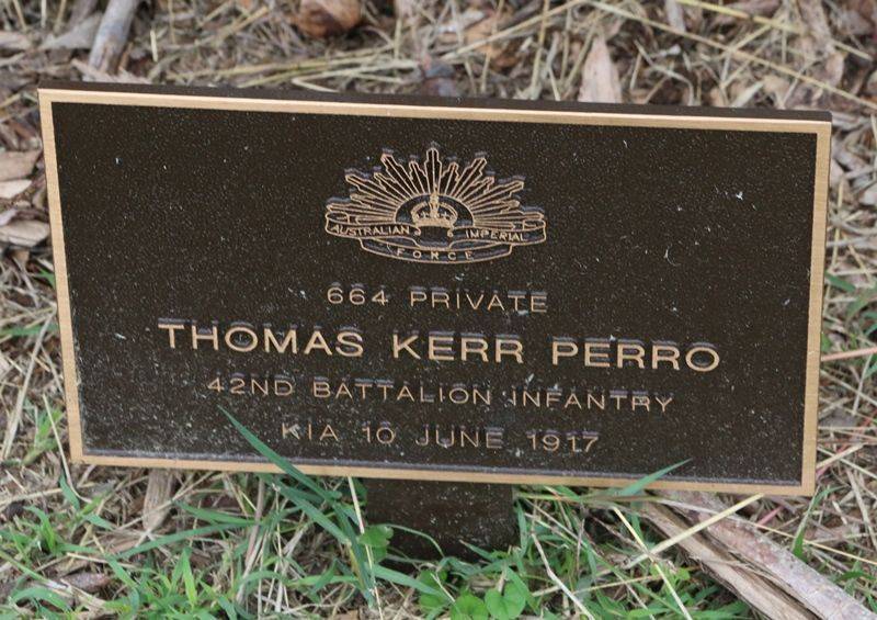 01-July-2019 01-July-2019