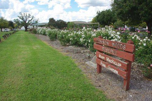 Tenison Woods Reserve : June 2014