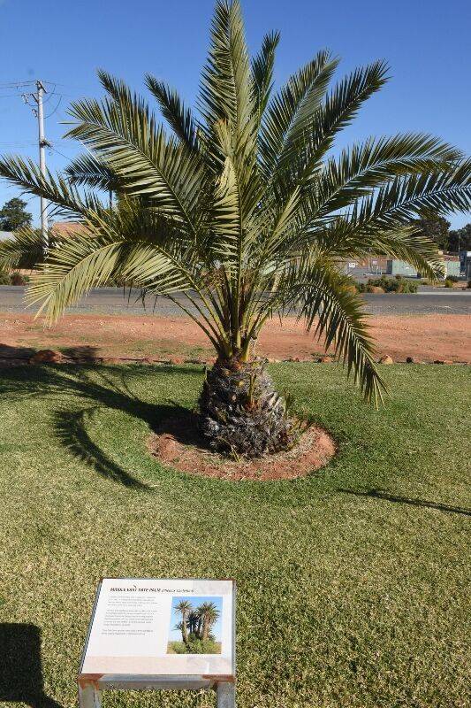 27-May-2021 (Henry Moulds) 27-May-2021 (Henry Moulds)