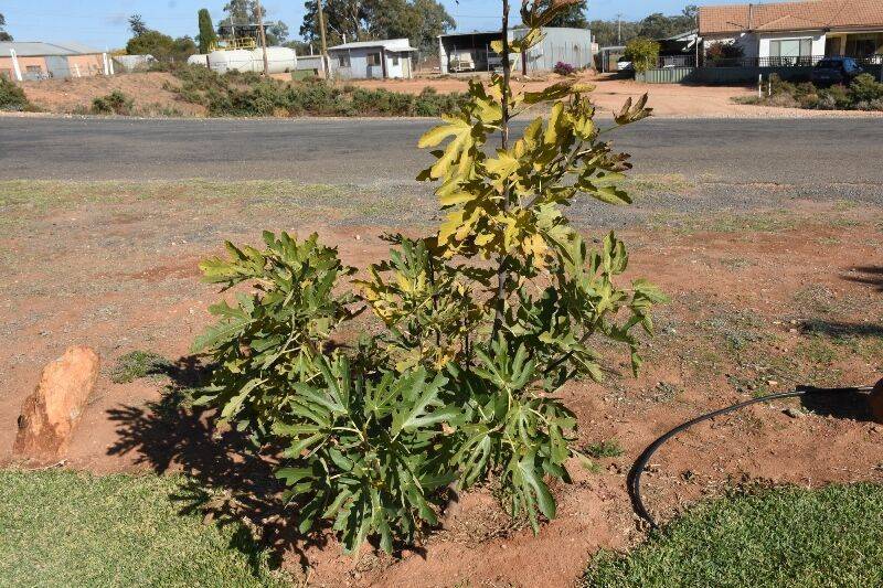 27-May-2021 (Henry Moulds) 27-May-2021 (Henry Moulds)