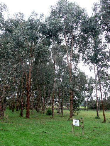 Rotary Club Arboretum : 09-June-2012