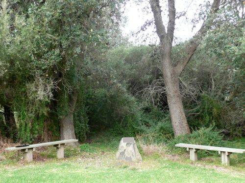 Roy Wheeler : 08-June-2012 Roy Wheeler : 08-June-2012