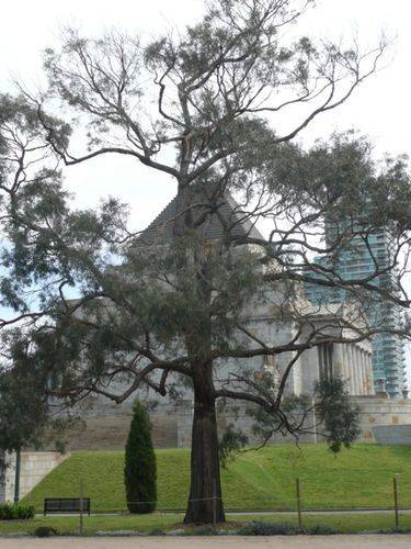 Royal Air Force : 05-October-2011