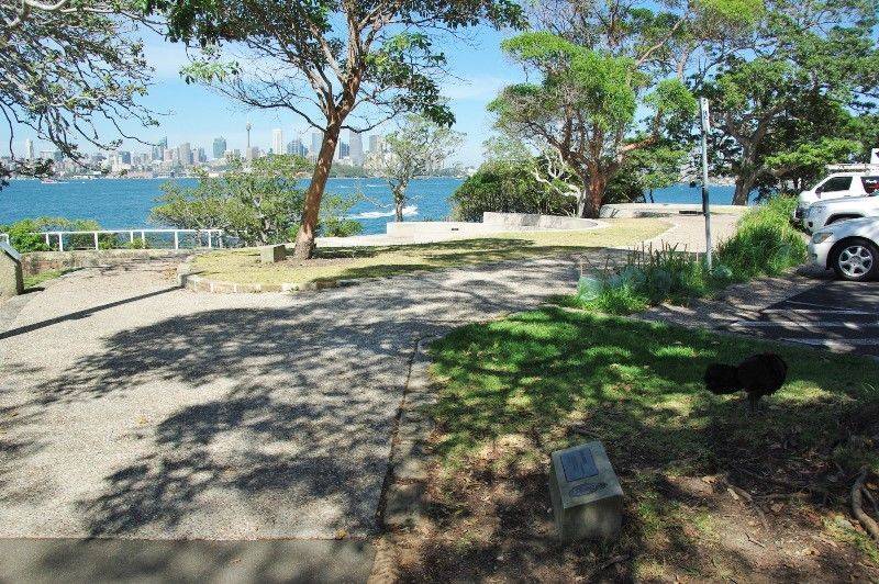 HMAS Sydney 2 Tree: 22-June-2018