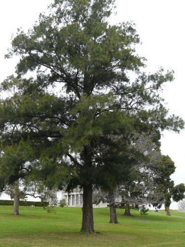 Royal Australian Survey Corps : 25-September-2011