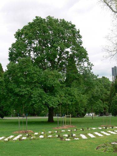 Russian ANZACS : 13-November-2011 Russian ANZACS : 13-November-2011