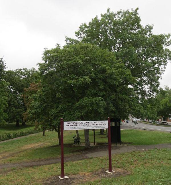 25-November-2018 25-November-2018