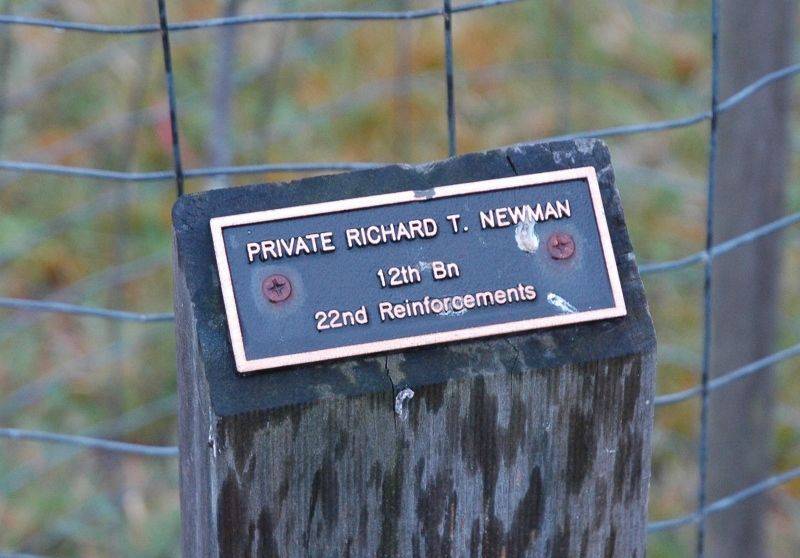 02-November-2014 02-November-2014