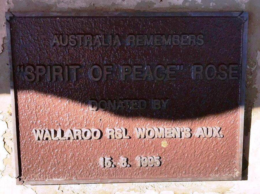 23-November-2020 (Stephen Warren)