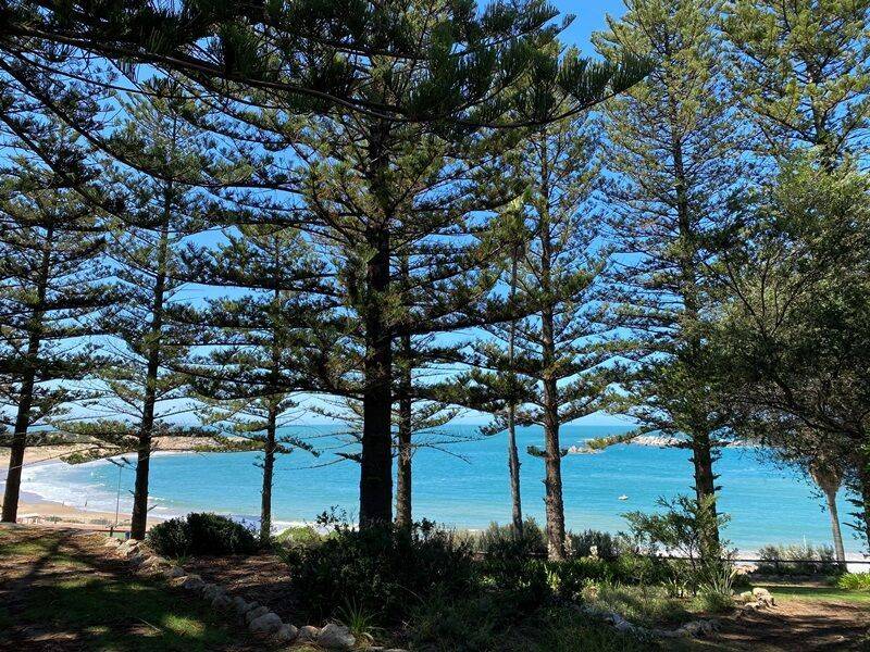 23-February-2022 (Fiona Morrison)