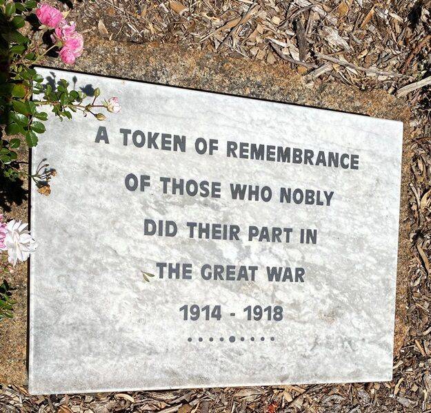 23-February-2022 (Fiona Morrison)