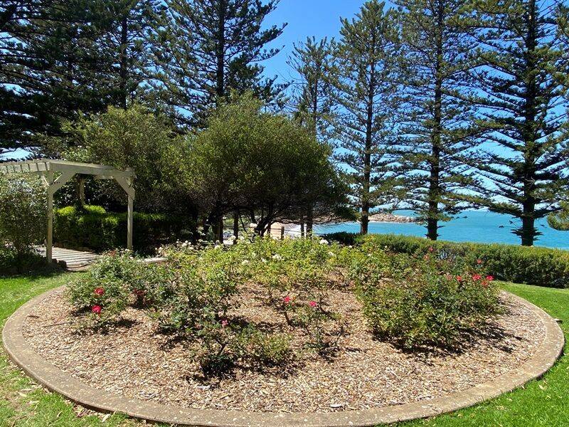 23-February-2022 (Fiona Morrison)