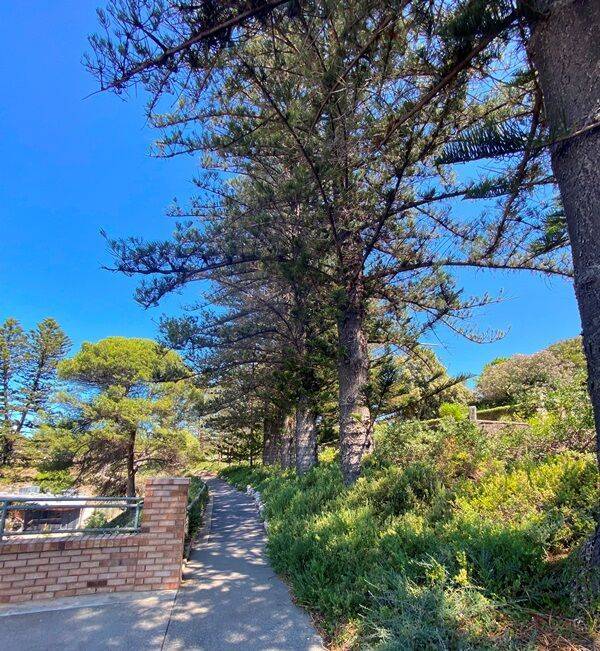 23-February-2022 (Fiona Morrison)