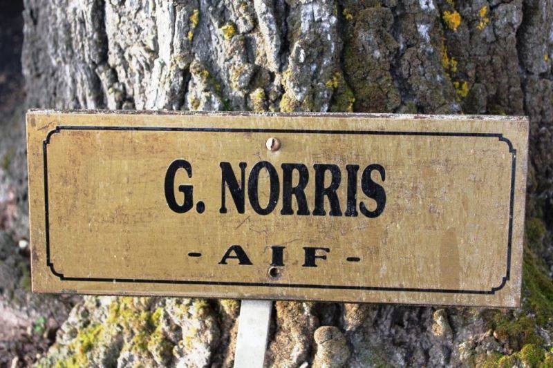 14-January-2016 14-January-2016