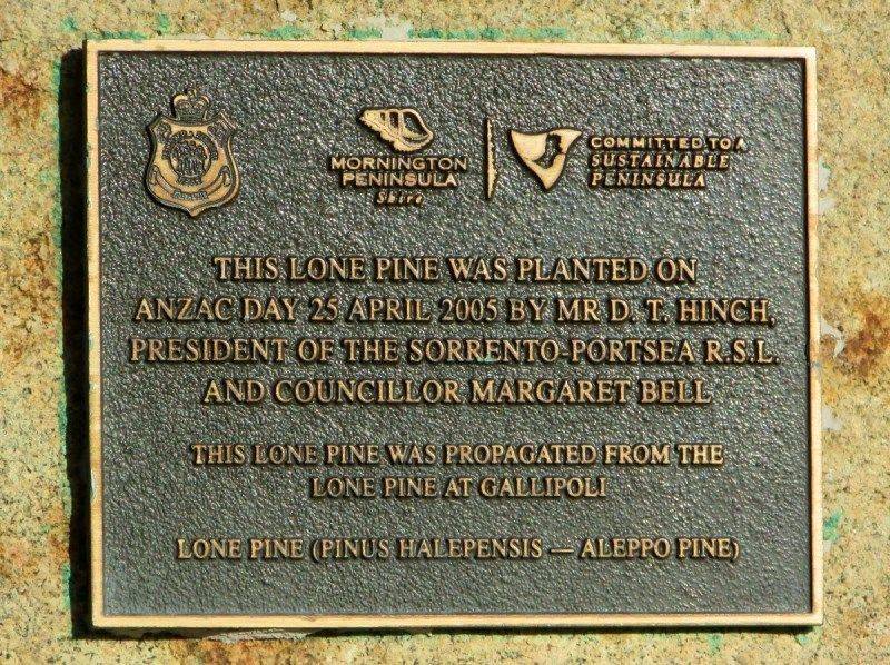 Plaque: 31-July-2016