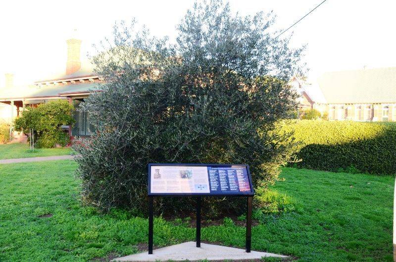 13-June-2016 13-June-2016