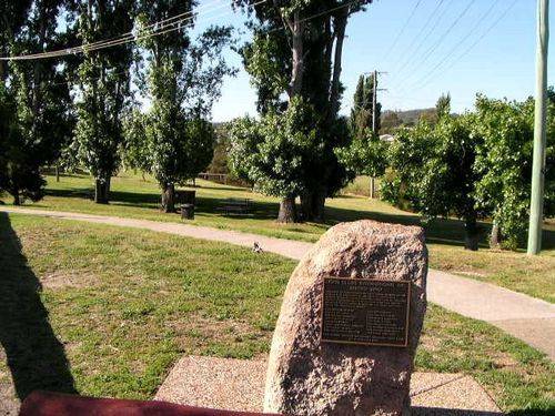 Stanthorpe Lions Grove