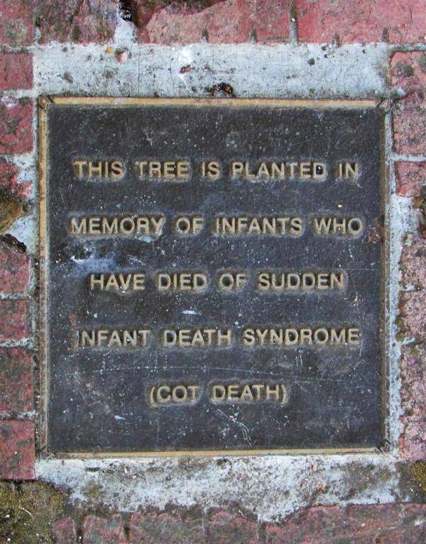 Plaque Inscription : 21-March-2015