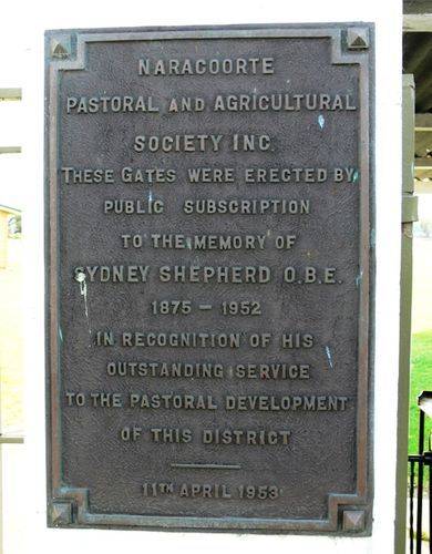 Sydney Shepherd : 02-November-2011