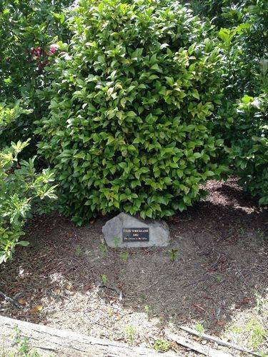 Terry Strickland Plaque 2 : March 2014