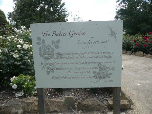 The Babies Garden : 01-December-2012