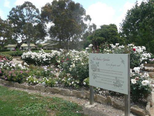 The Babies Garden : 01-December-2012