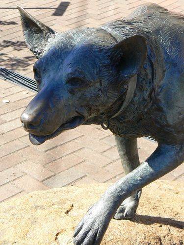 The Kelpie