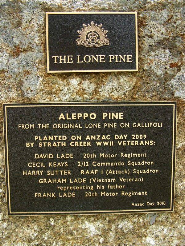 Lone Pine Plaque : 08-December-2013 Lone Pine Plaque : 08-December-2013