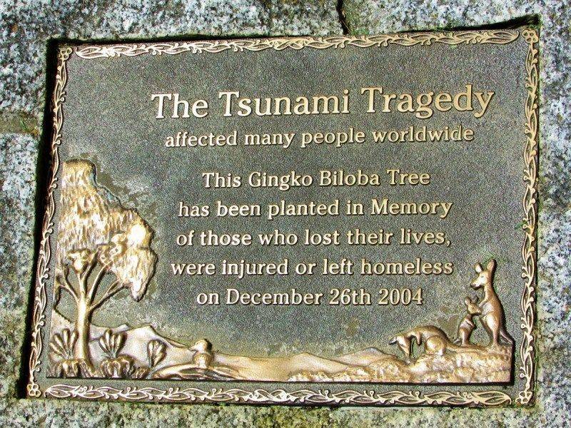 Plaque Inscription:25-October-2016 (Sandra Brown)