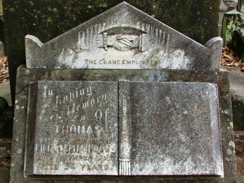 23-November-2019 23-November-2019