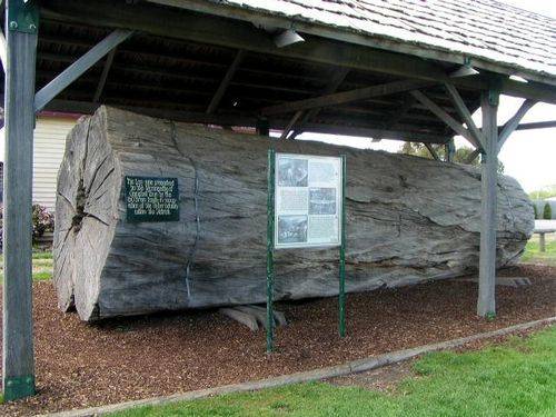Timber Industry : 2007