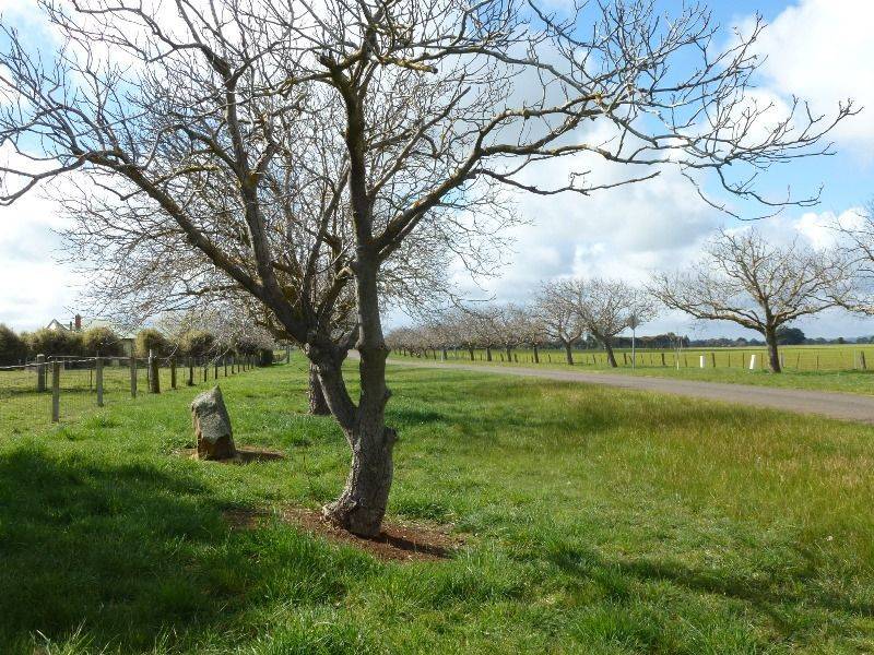 07-September-2018 07-September-2018