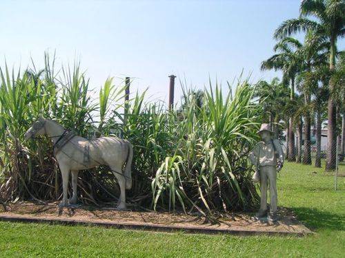 Tully Sugar Pioneers 3