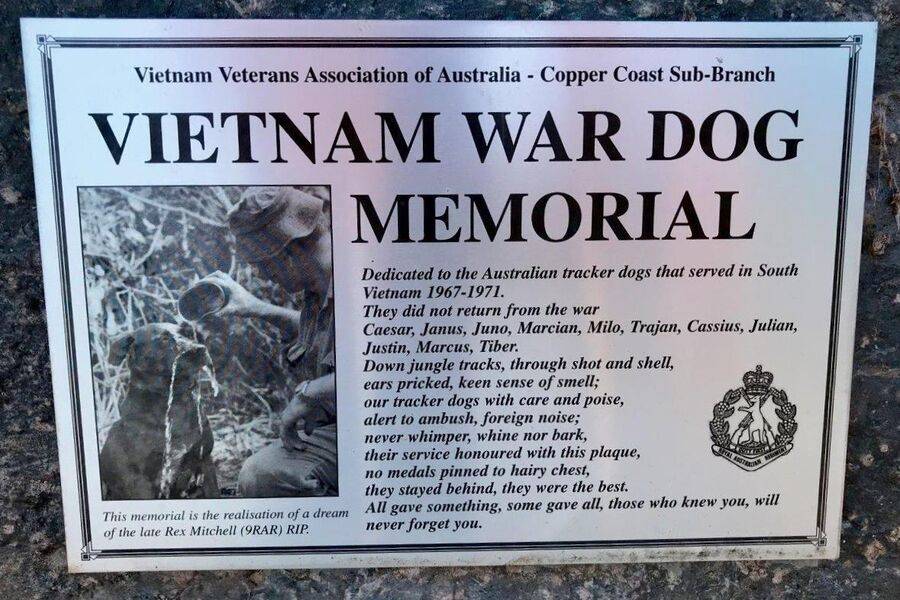 12-July-2021 (Stephen Warren)