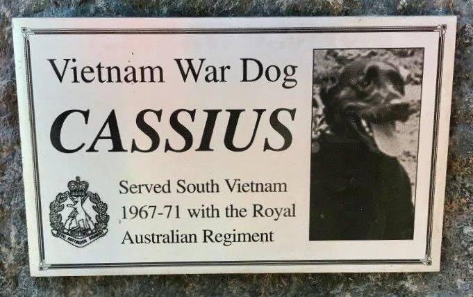 12-July-2021 (Stephen Warren)