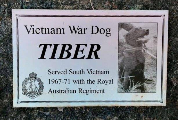 12-July-2021 (Stephen Warren)