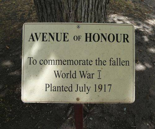 Wallace Street Avenue of Honour : 18-February-2012