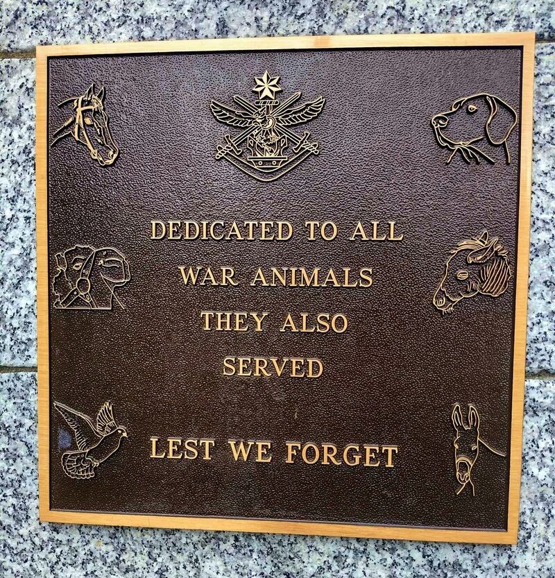 17-August-2023 (Sandra Brown)